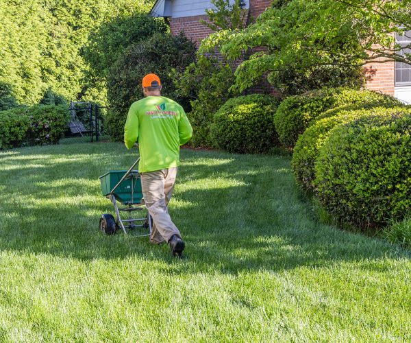 Trusted Lawn Care Eagan MN – Local Turf Experts with 21+ Years Experience